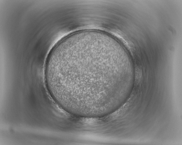 X0000115651278200912011515