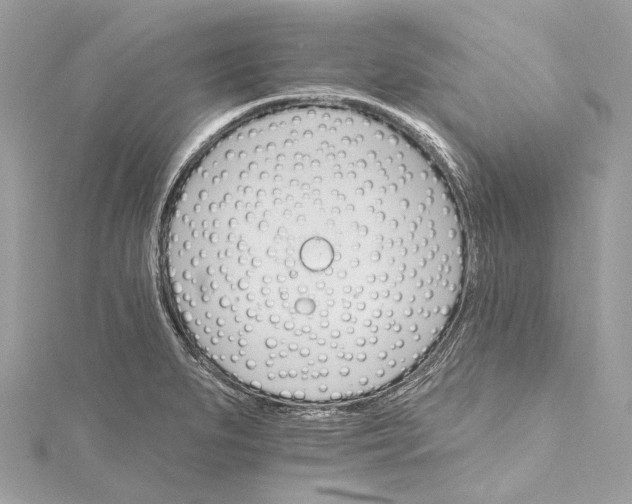 X0000115651279200912011515