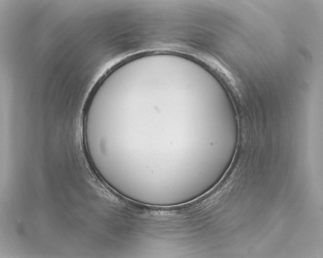 X0000115651280200912011515