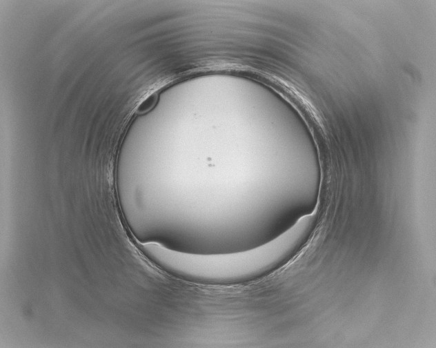 X0000115651281200912011515