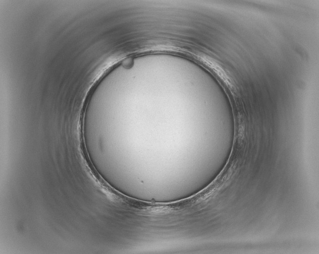 X0000115651282200912011514