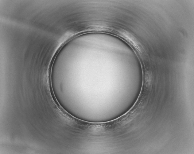 X0000115651283200912011514