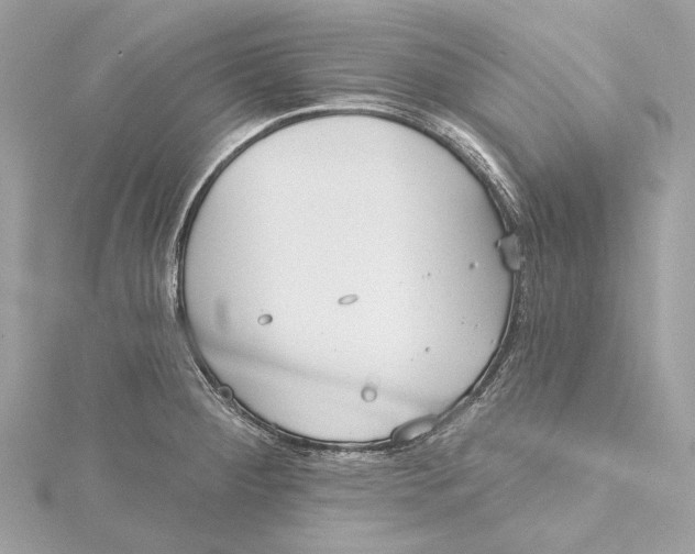 X0000115651284200912011514