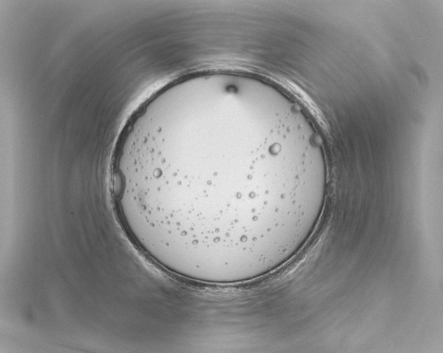 X0000115651285200912011514