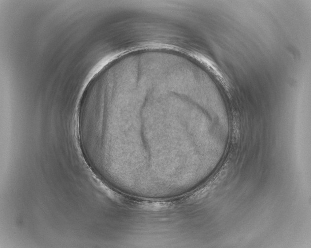 X0000115651286200912011514