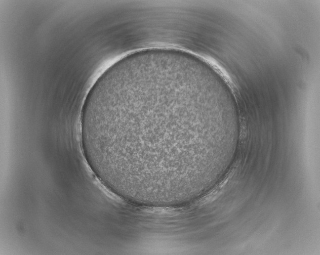 X0000115651287200912011514