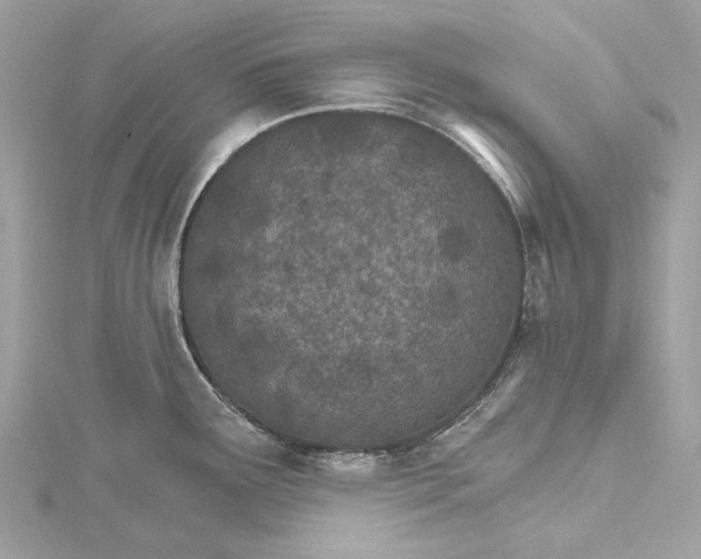 X0000115651291200912011514