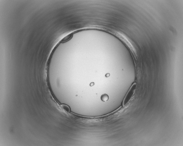 X0000115651292200912011514