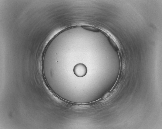 X0000115651293200912011514