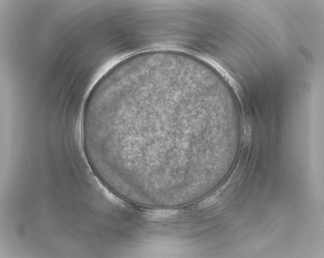 X0000115651294200912011514