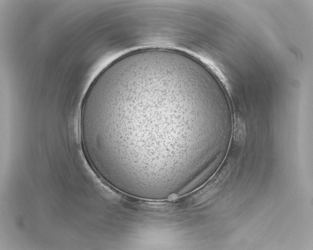 X0000115651295200912011514