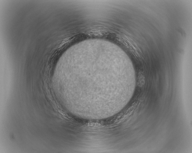 X0000115651297200912011514