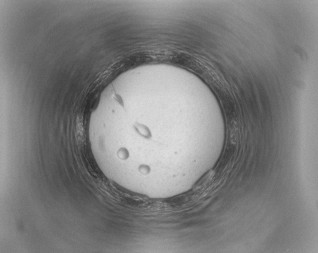 X0000115651298200912011514