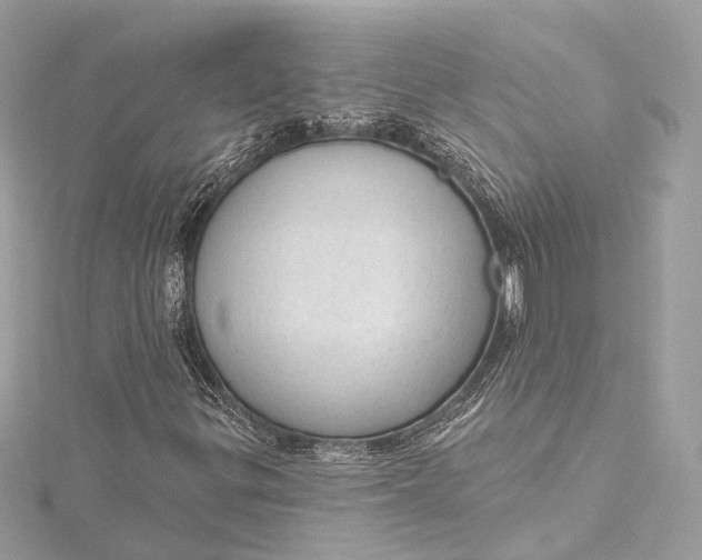 X0000115651299200912011514