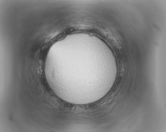 X0000115651301200912011514