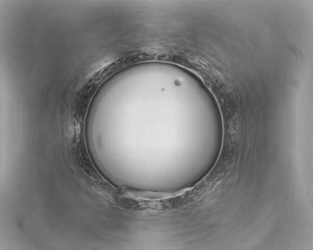 X0000115651302200912011514