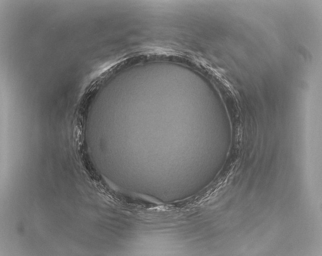 X0000115651303200912011514