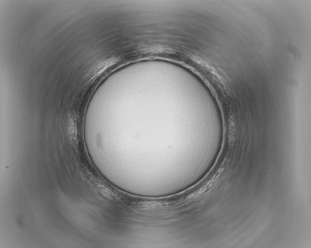 X0000115651305200912011514