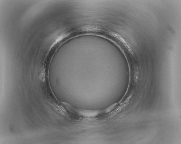 X0000115651306200912011514