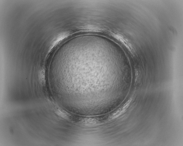 X0000115651307200912011514