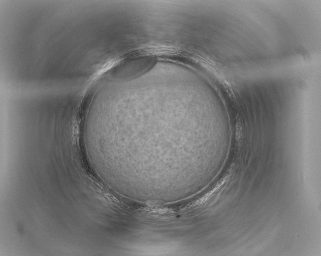 X0000115651309200912011514