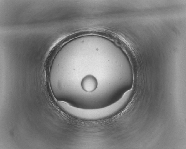 X0000115651310200912011514