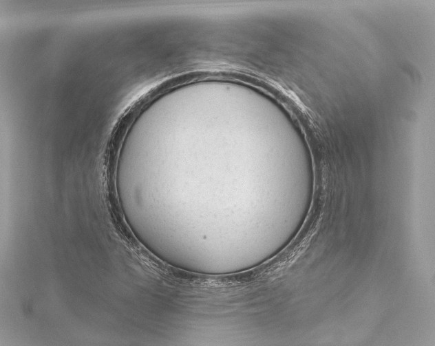 X0000115651311200912011514