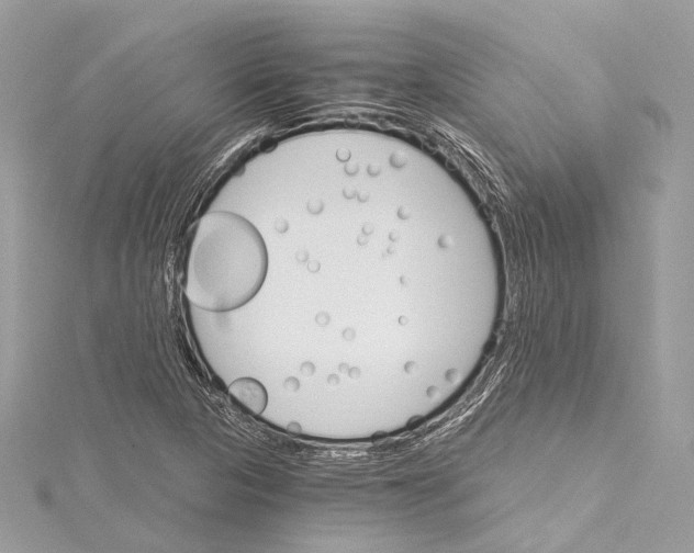 X0000115651313200912011514