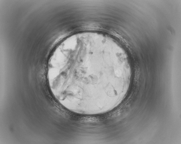 X0000115651314200912011514