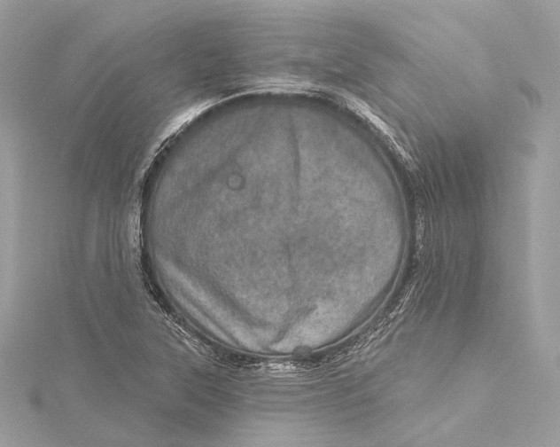 X0000115651315200912011514