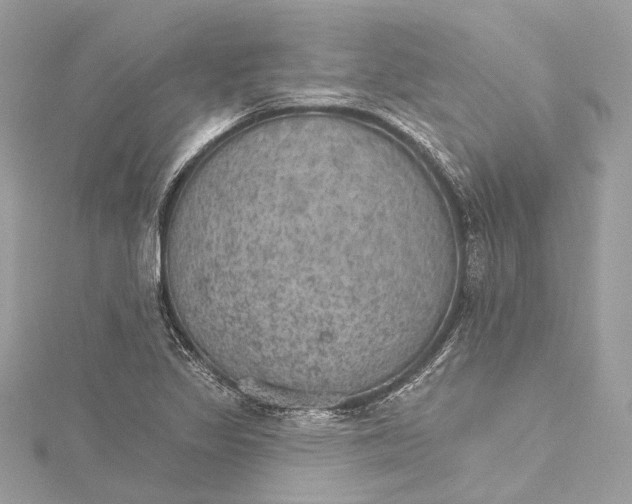 X0000115651317200912011514