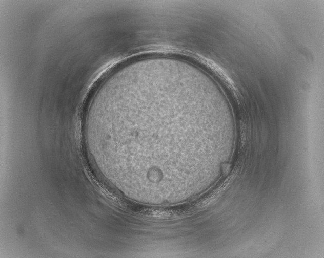 X0000115651318200912011514