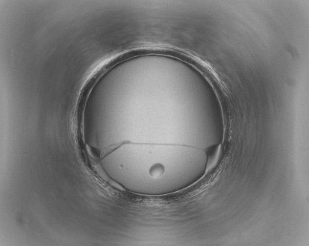 X0000115651319200912011514