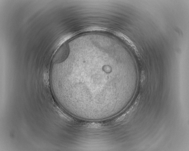 X0000115651321200912011514