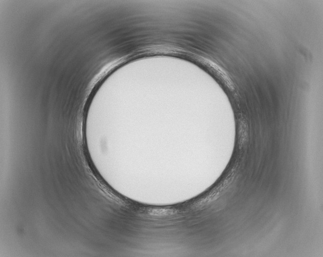 X0000115651322200912011514