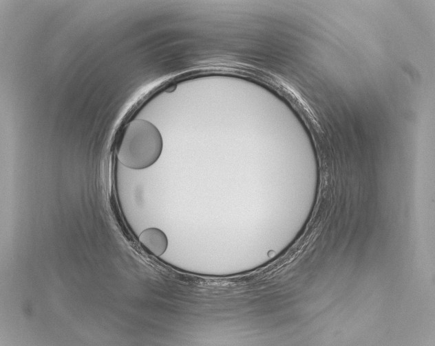 X0000115651323200912011514