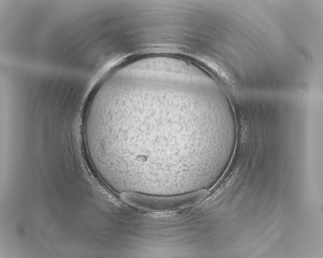 X0000115651325200912011514