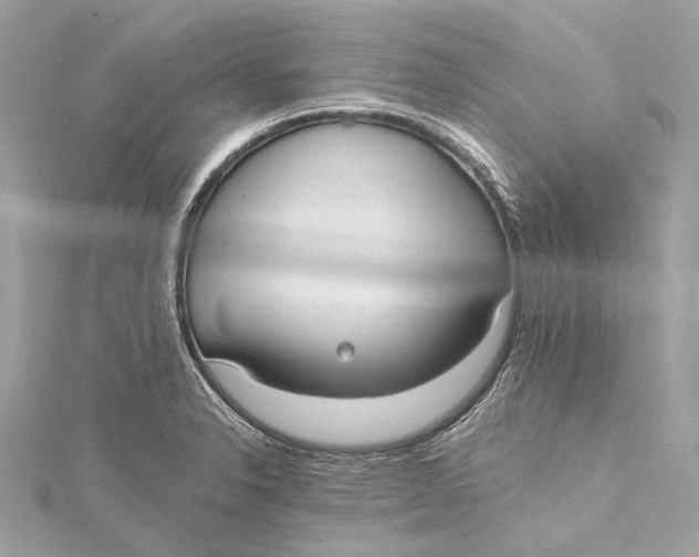 X0000115651326200912011514