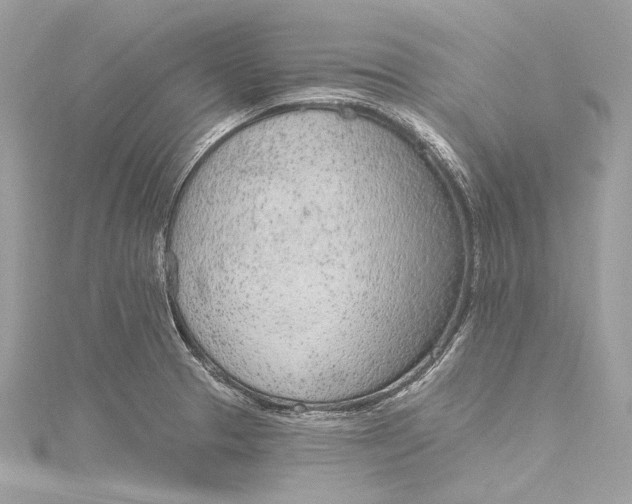 X0000115651329200912011514