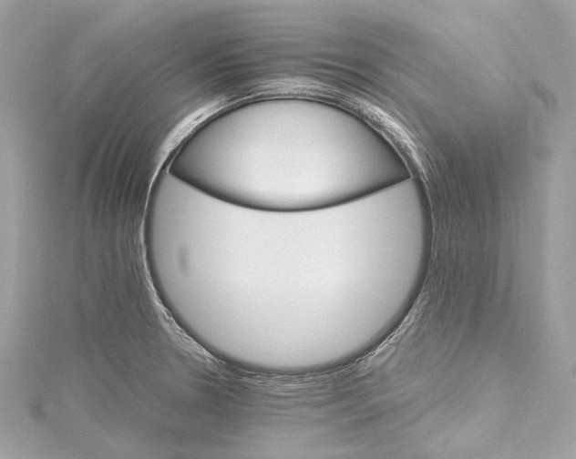 X0000115651330200912011514