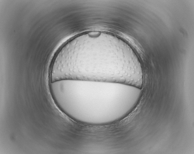 X0000115651331200912011514