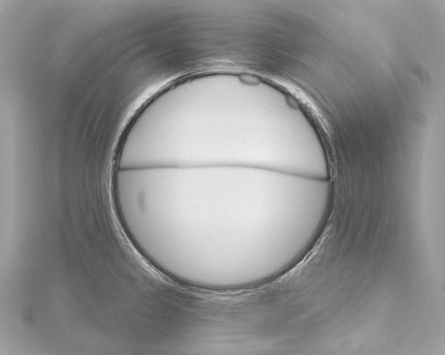 X0000115651333200912011514