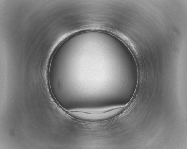 X0000115651334200912011514