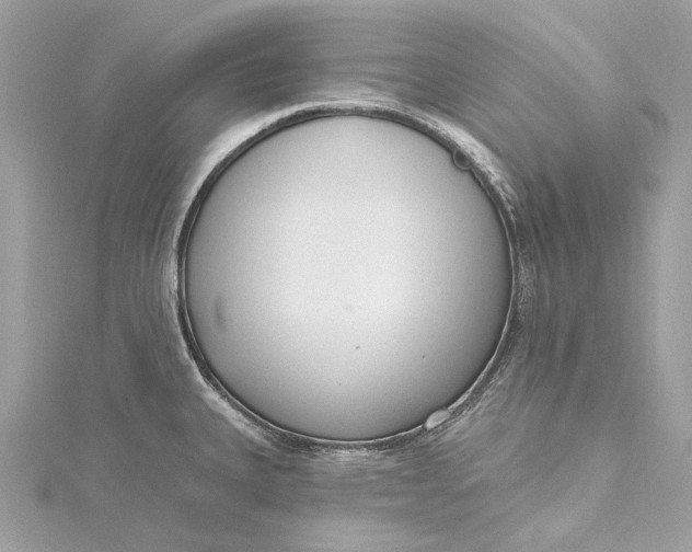 X0000115651335200912011514