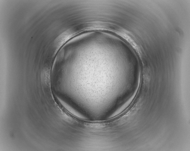 X0000115651337200912011514