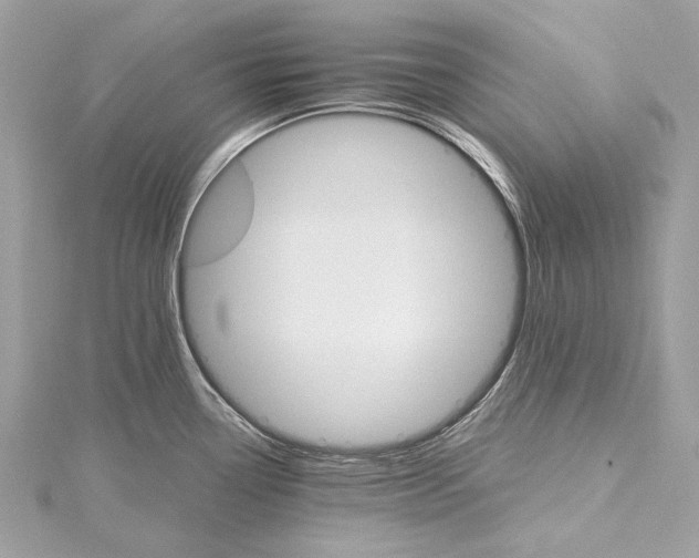 X0000115651338200912011514