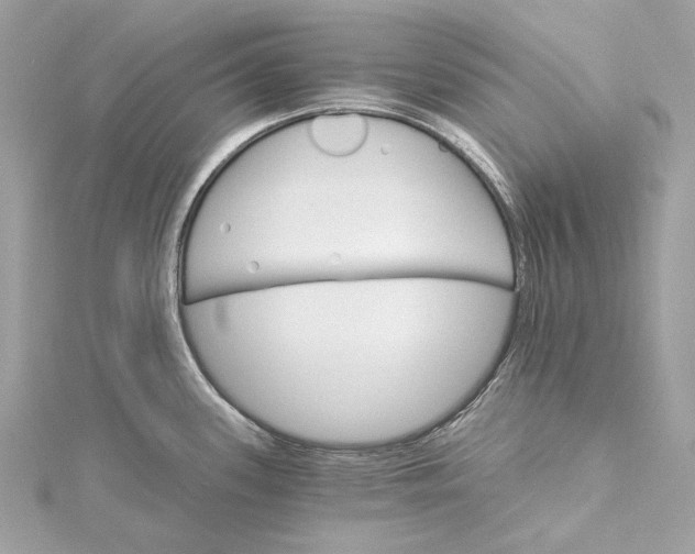 X0000115651339200912011514