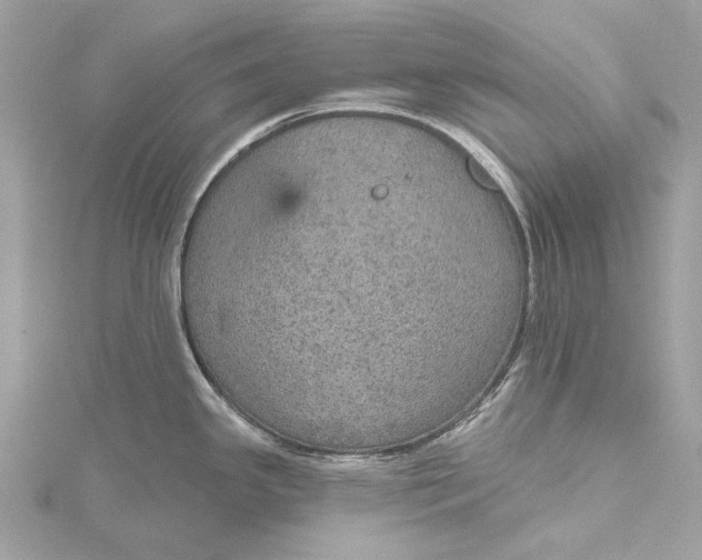 X0000115651341200912011514