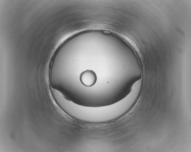 X0000115651342200912011514