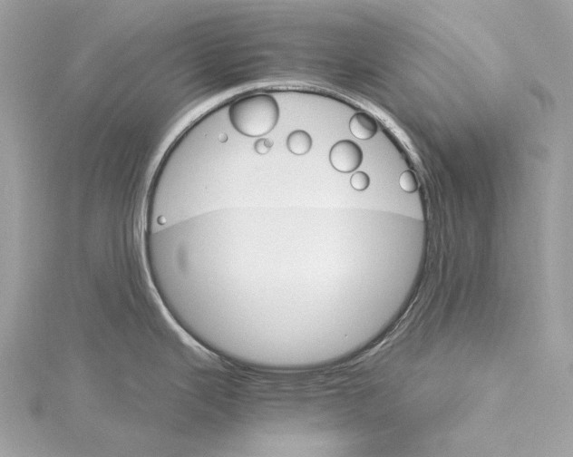 X0000115651343200912011514